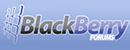 黑莓论坛 Logo