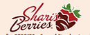草莓蛋糕网 Logo