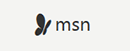 MSN西班牙 Logo