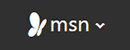 MSN南非 Logo