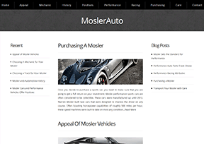 莫斯勒_Mosler Automotive