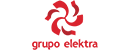 墨西哥电器集团 Logo