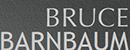BruceBarnbaum摄影作品网 Logo