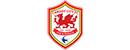 卡迪夫城足球俱乐部 Logo