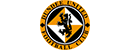 邓迪联足球俱乐部 Logo