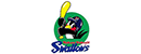 东京养乐多燕子队 Logo