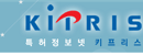 韩国工业产权信息服务中心 Logo