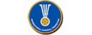 国际手球联合会 Logo